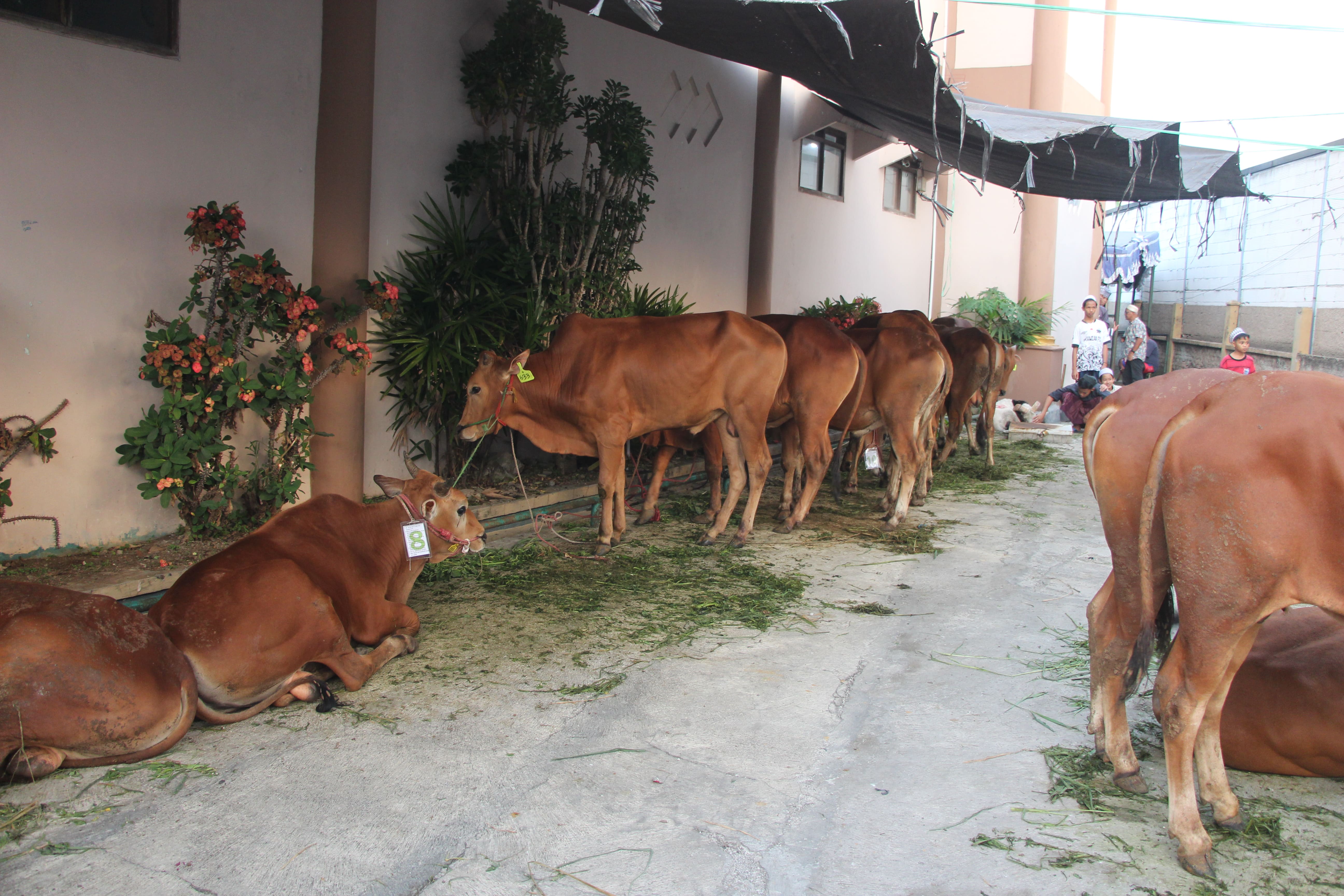 Galeri Kegiatan Masjid Al-Hikmah Riung Bandung - Dokumentasi 4