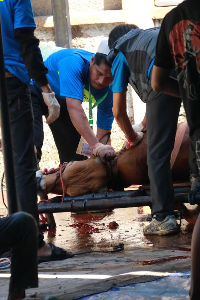 Galeri Kegiatan Masjid Al-Hikmah Riung Bandung - Dokumentasi 7